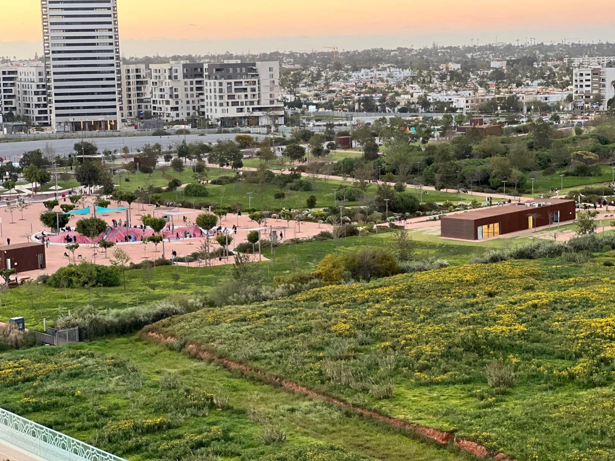 Anfa Louise * الدار البيضاء